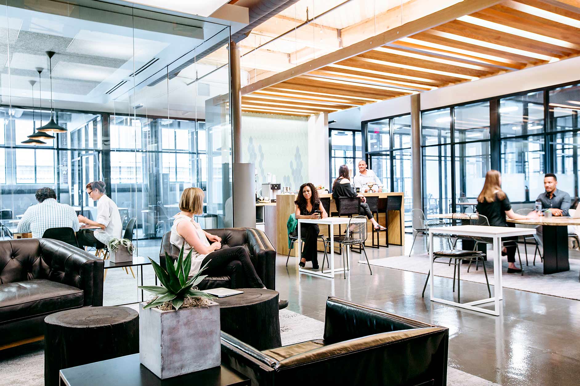 Login Full Background